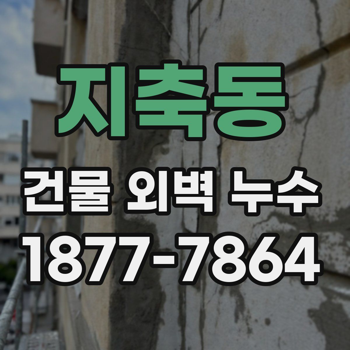 지축동 건물 외벽 누수