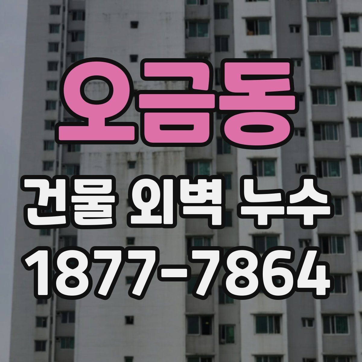 오금동 건물 외벽 누수 원인 파악을 위한 현장 확인