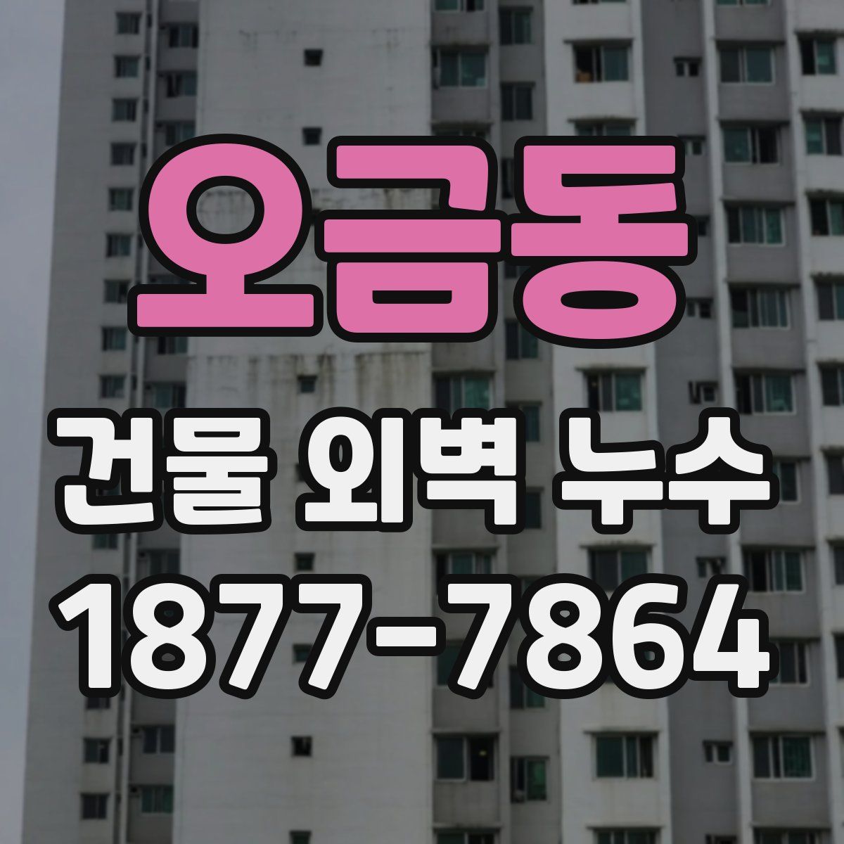 오금동 건물 외벽 누수