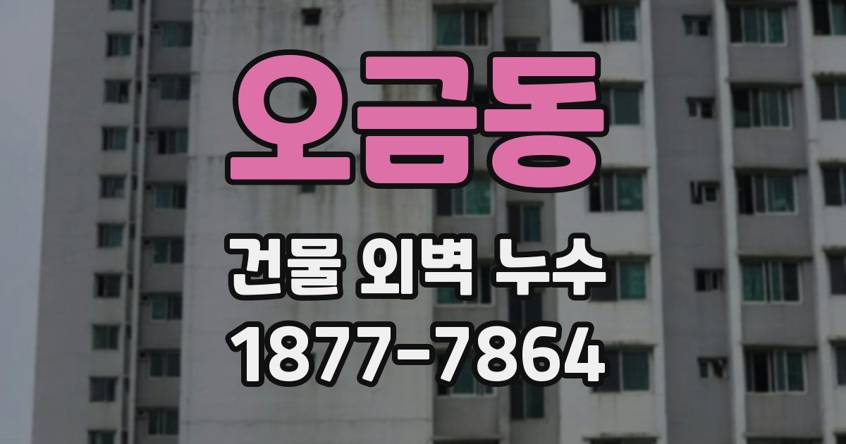 오금동 건물 외벽 누수