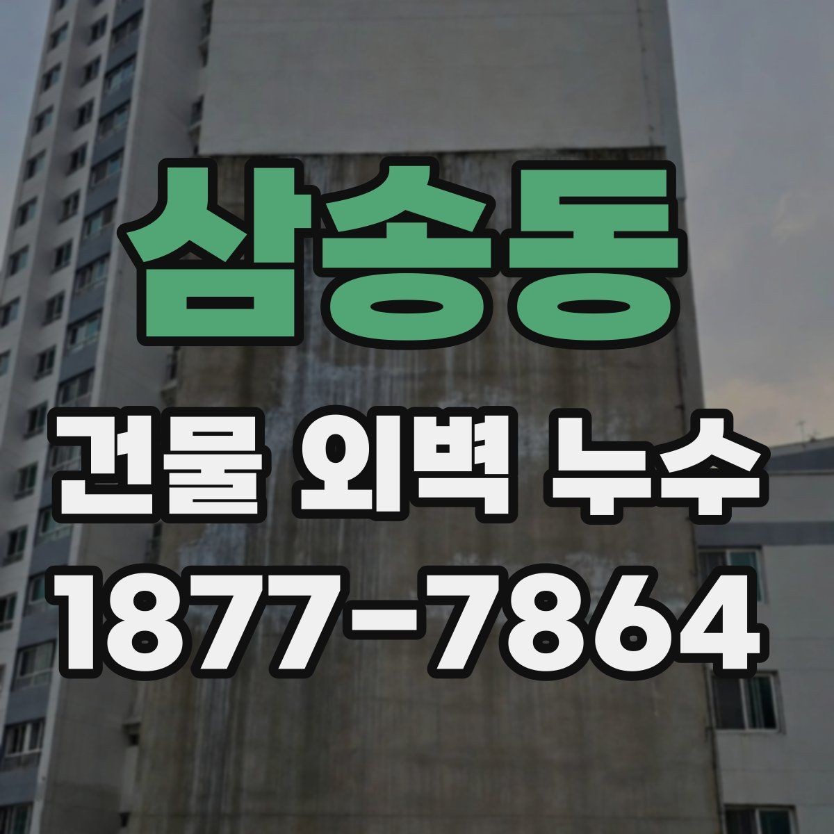 삼송동 건물 외벽 누수 진단이 필요한 대표 증상
