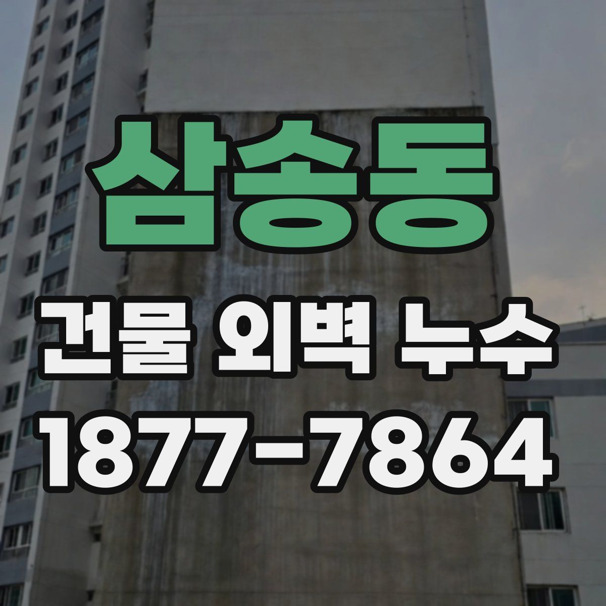 삼송동 건물 외벽 누수