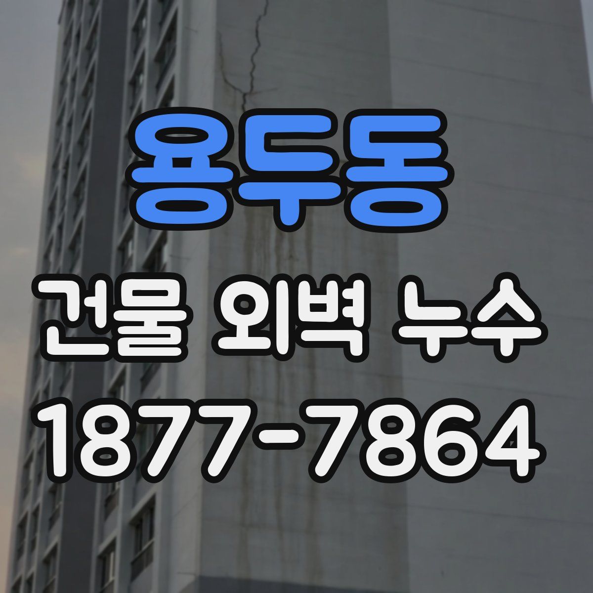 용두동 건물 외벽 누수