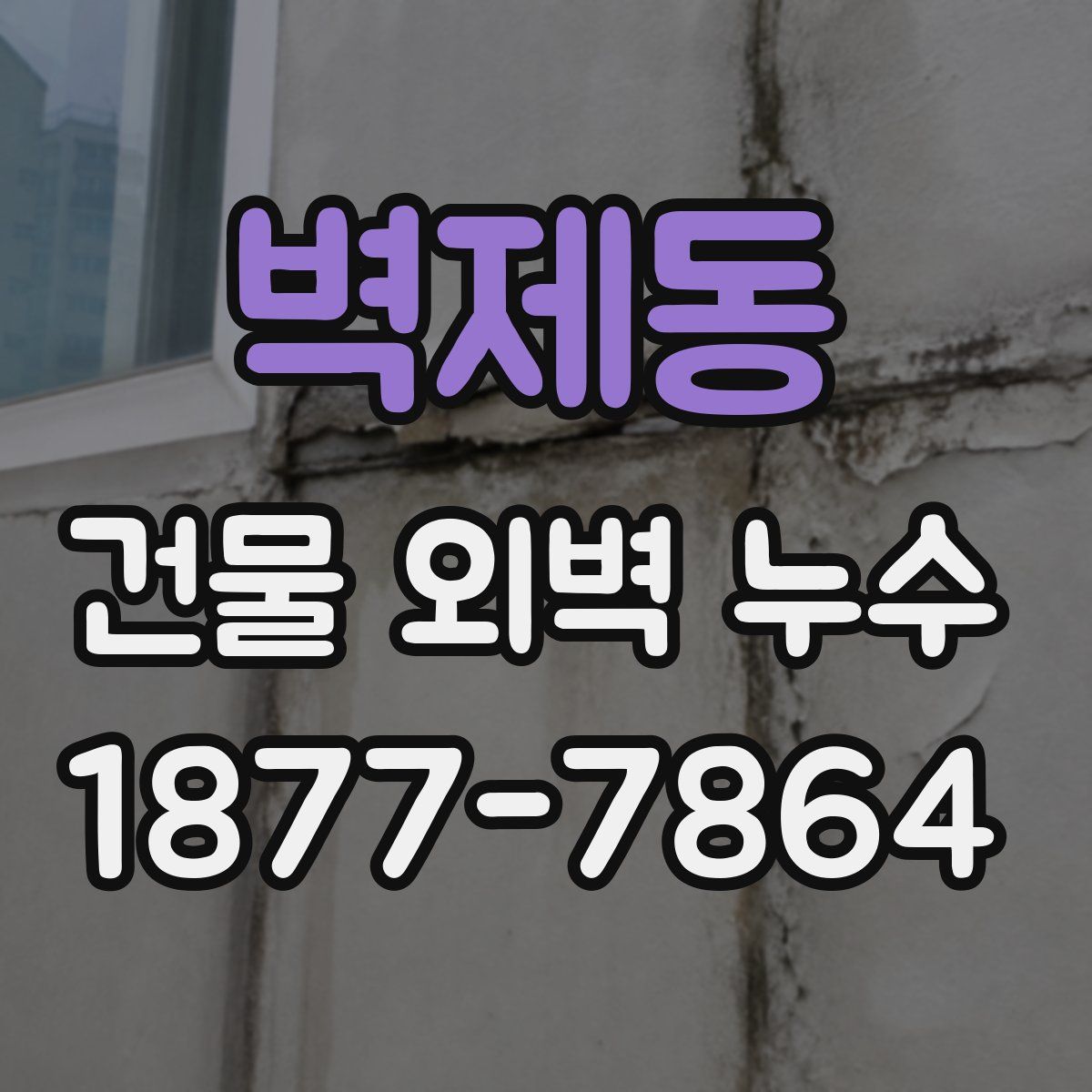 벽제동 건물 외벽 누수