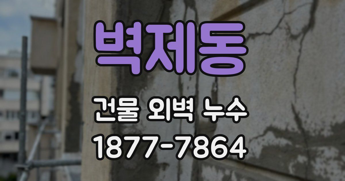 벽제동 건물 외벽 누수