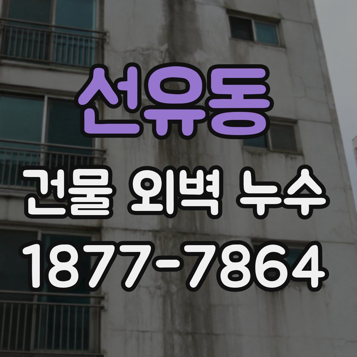 선유동 건물 외벽 누수