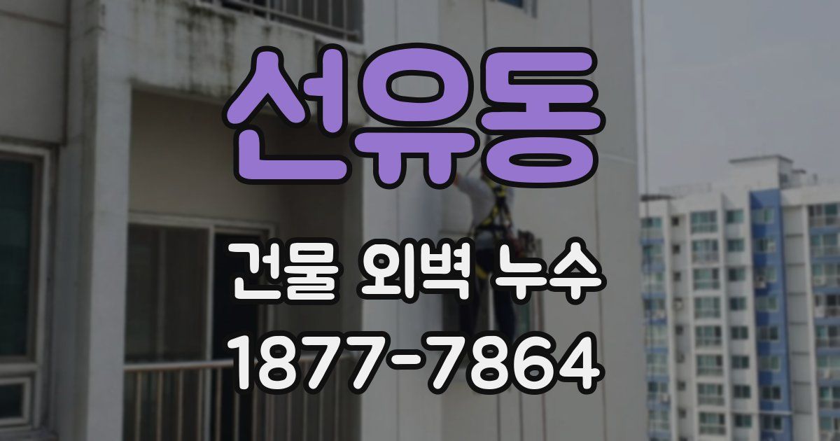 선유동 건물 외벽 누수