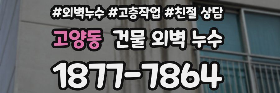 고양동 건물 외벽 누수