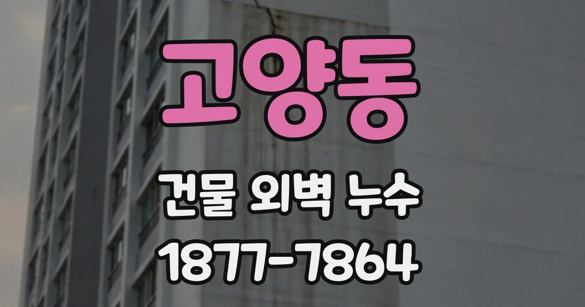 고양동 건물 외벽 누수