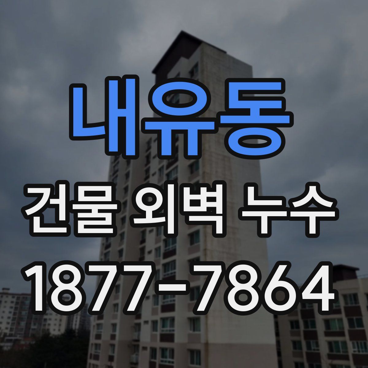 내유동 건물 외벽 누수