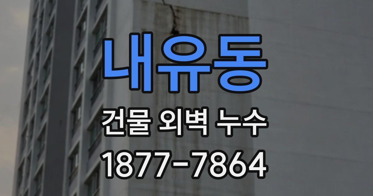 내유동 건물 외벽 누수