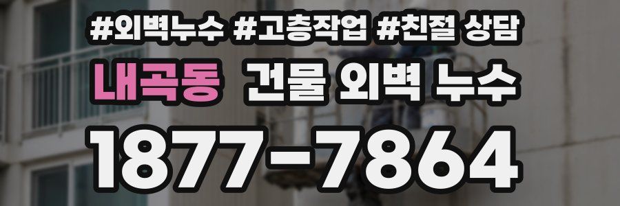 내곡동 건물 외벽 누수