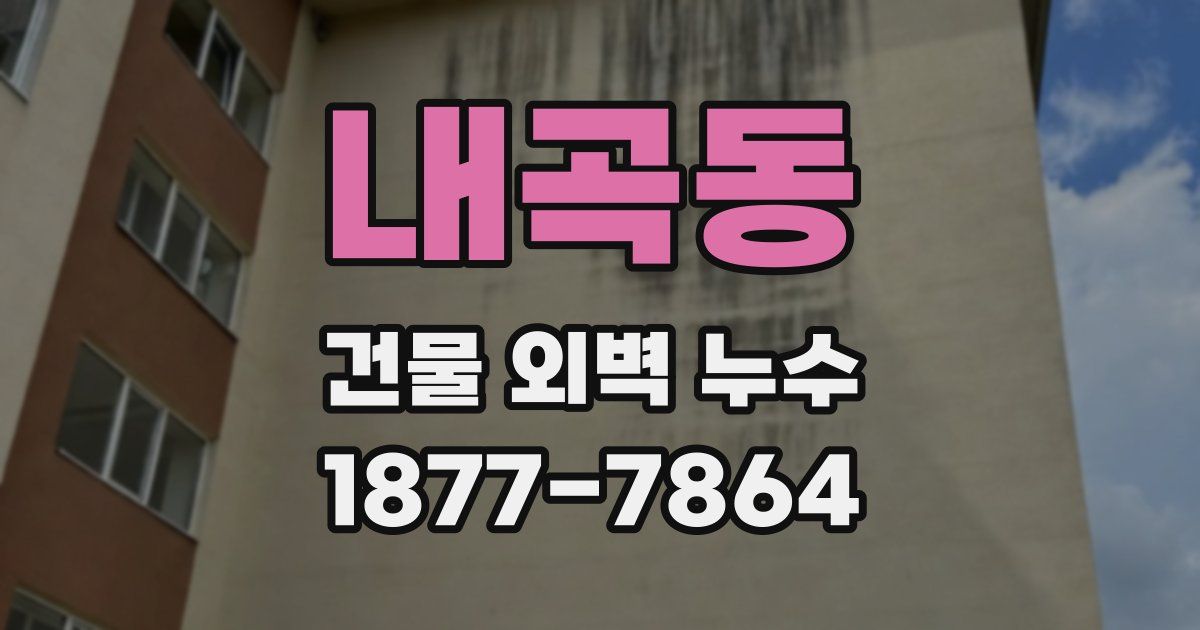 내곡동 건물 외벽 누수