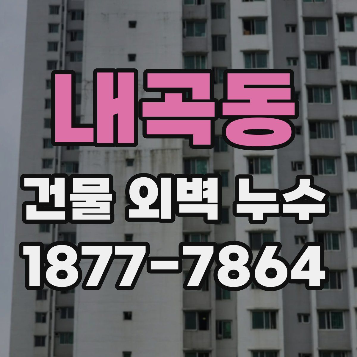 내곡동 건물 외벽 누수
