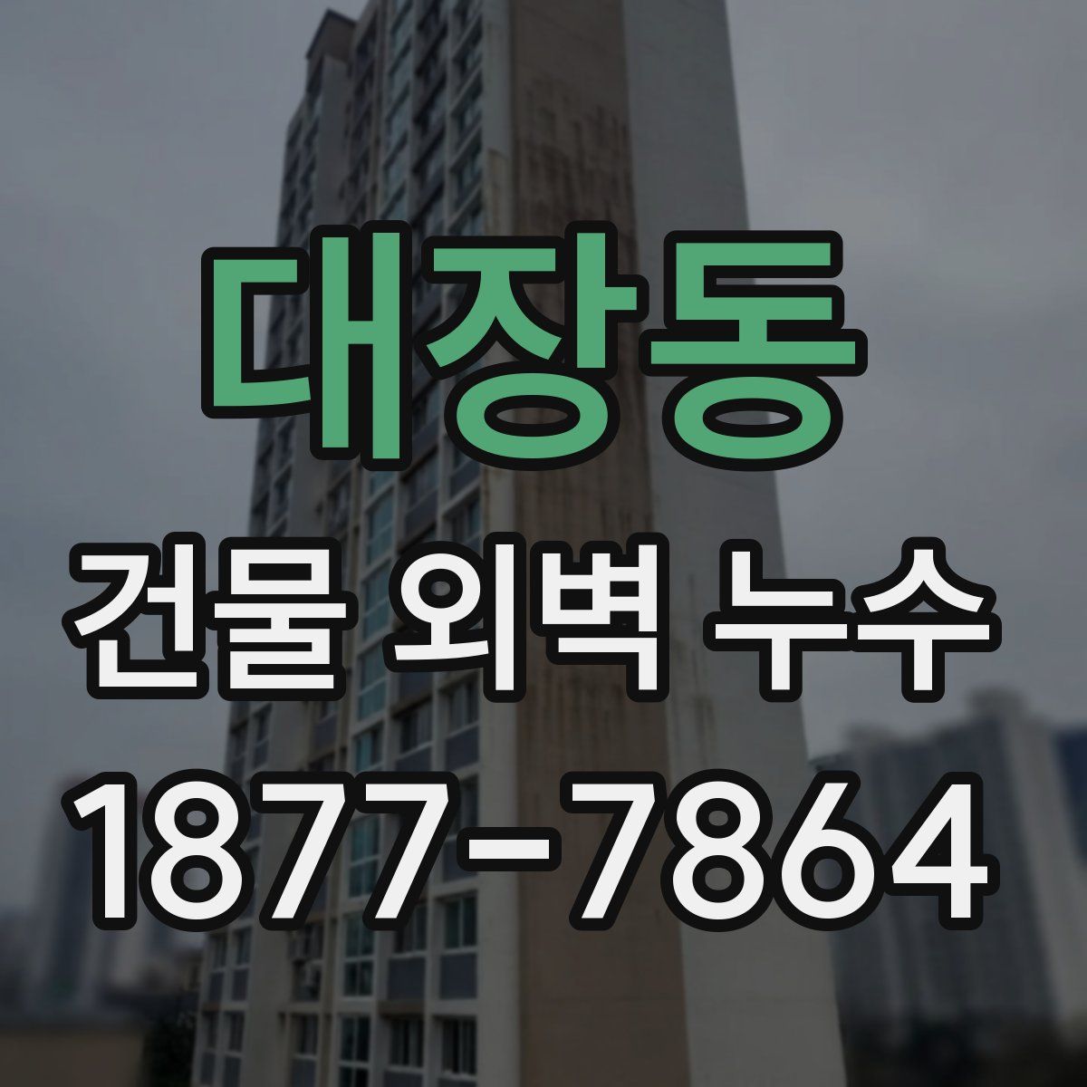 대장동 건물 외벽 누수