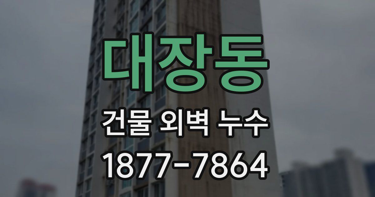 대장동 건물 외벽 누수
