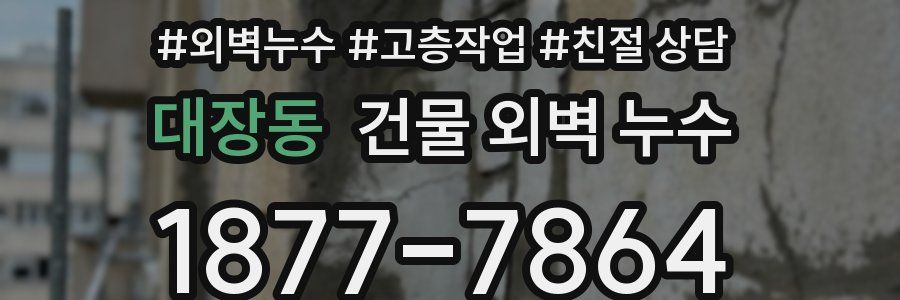 대장동 건물 외벽 누수