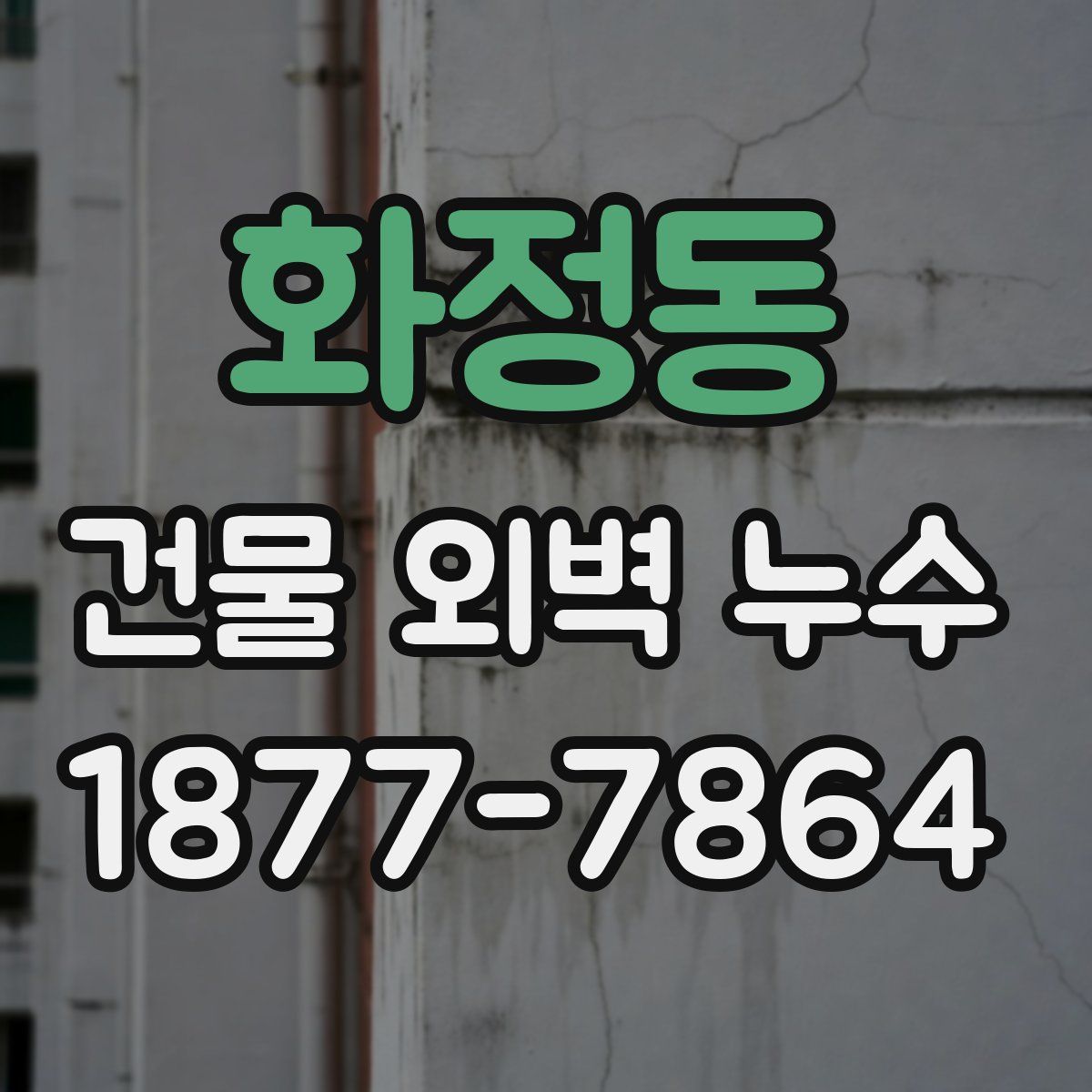 화정동 건물 외벽 누수