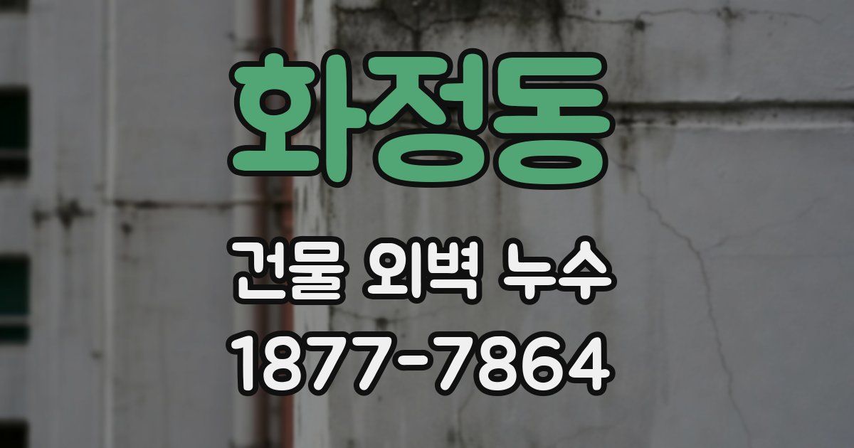 화정동 건물 외벽 누수