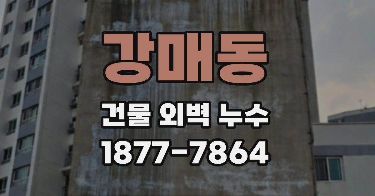 강매동 건물 외벽 누수