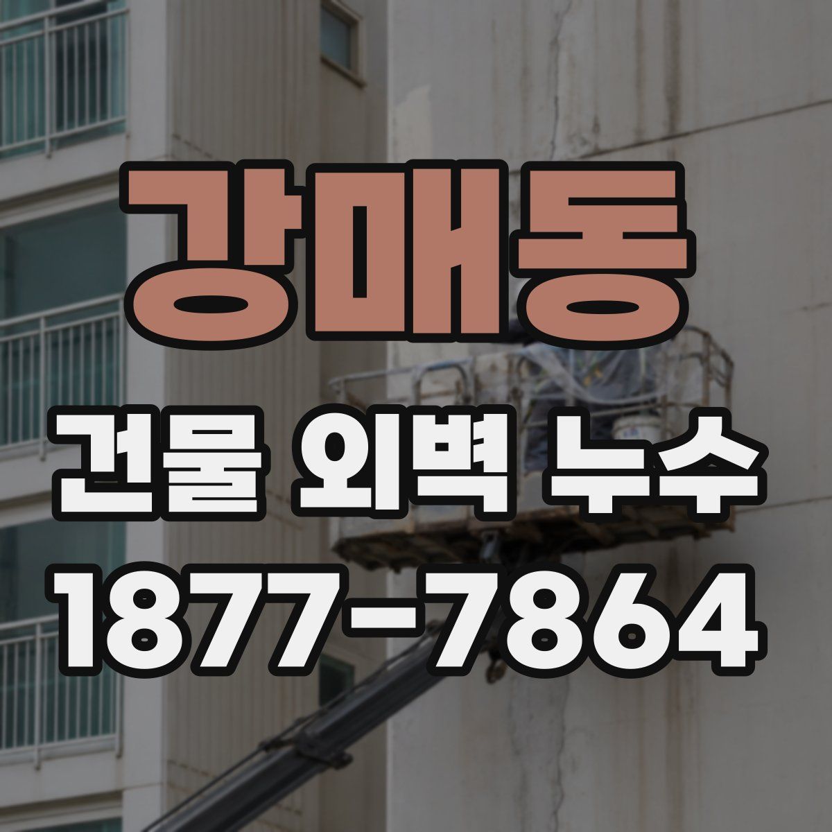 강매동 건물 외벽 누수