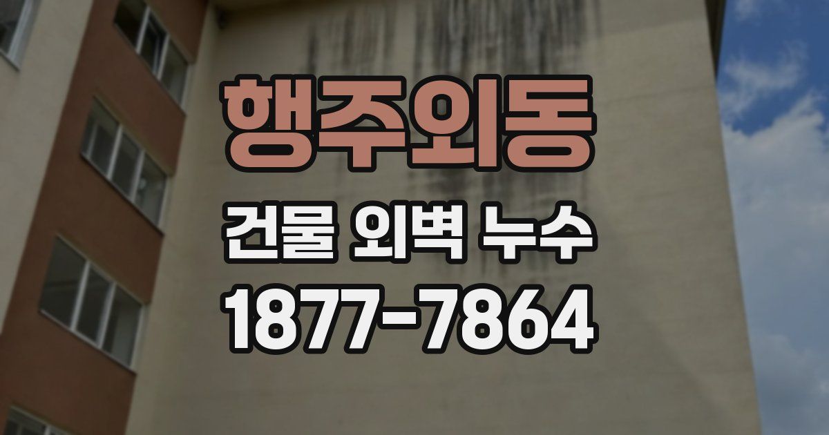 행주외동 건물 외벽 누수