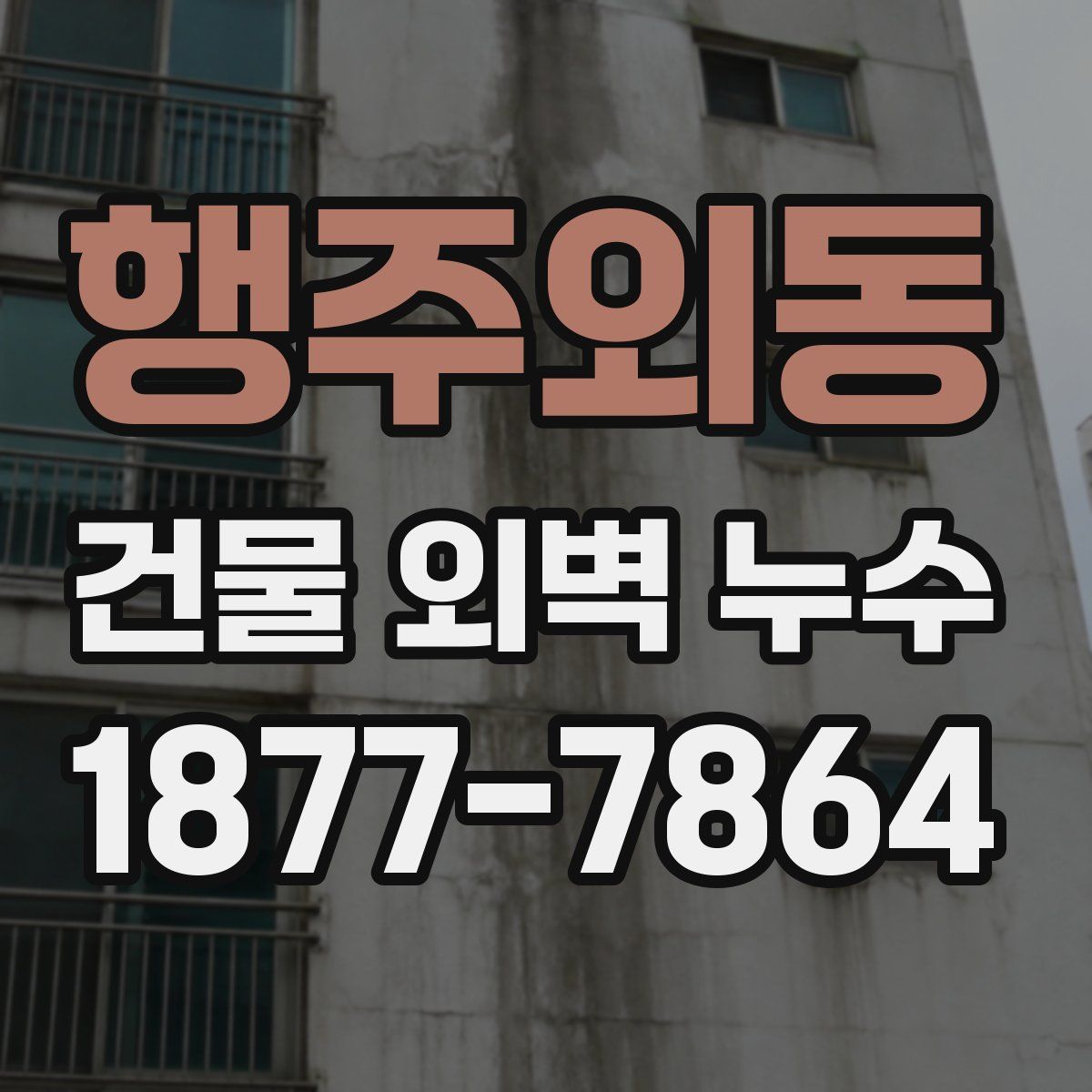 행주외동 건물 외벽 누수