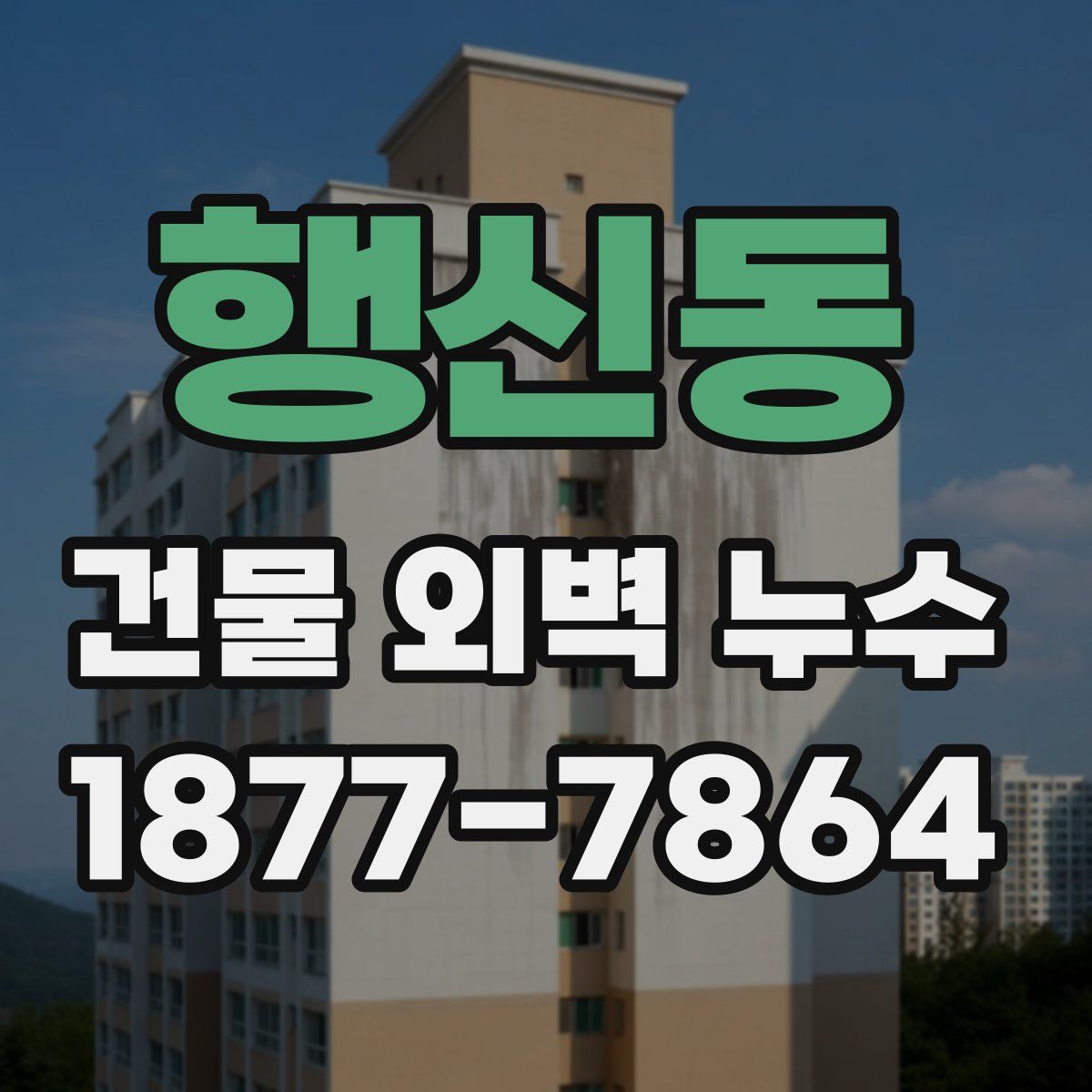 행신동 건물 외벽 누수
