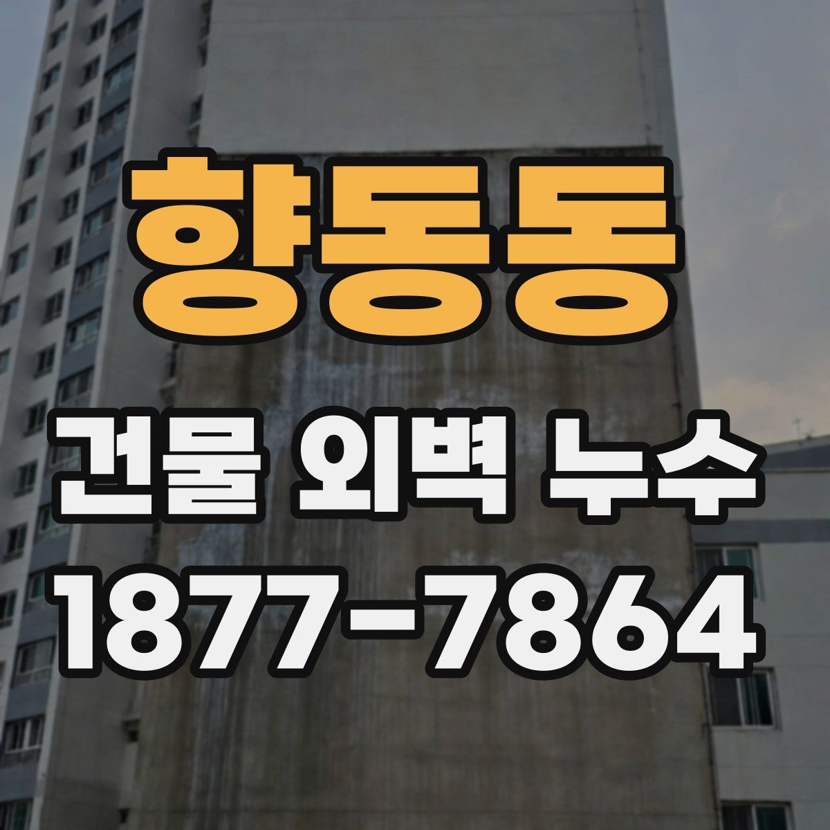 향동동 건물 외벽 누수