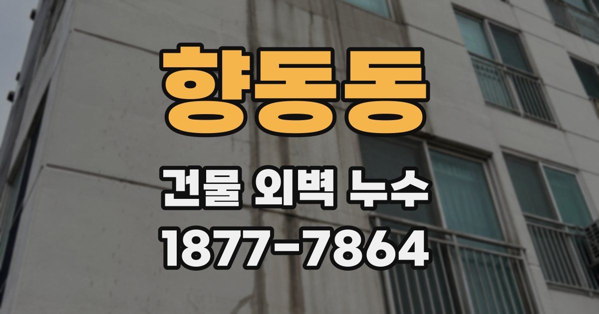 향동동 건물 외벽 누수