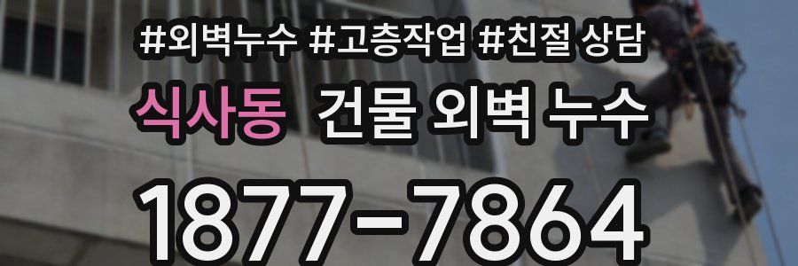 식사동 건물 외벽 누수