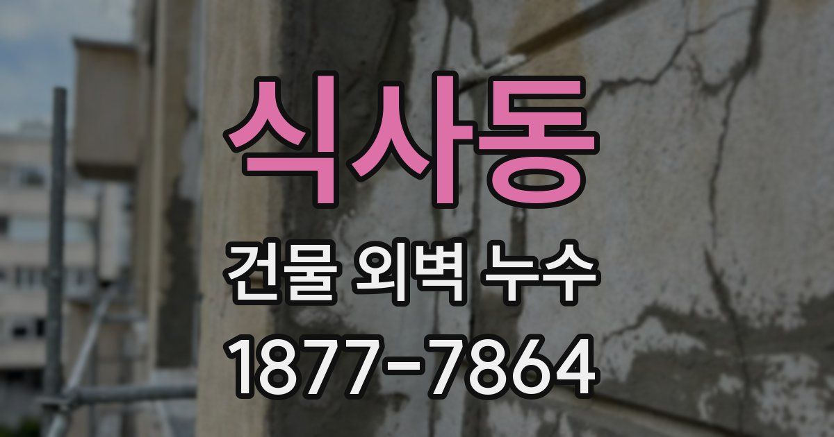 식사동 건물 외벽 누수