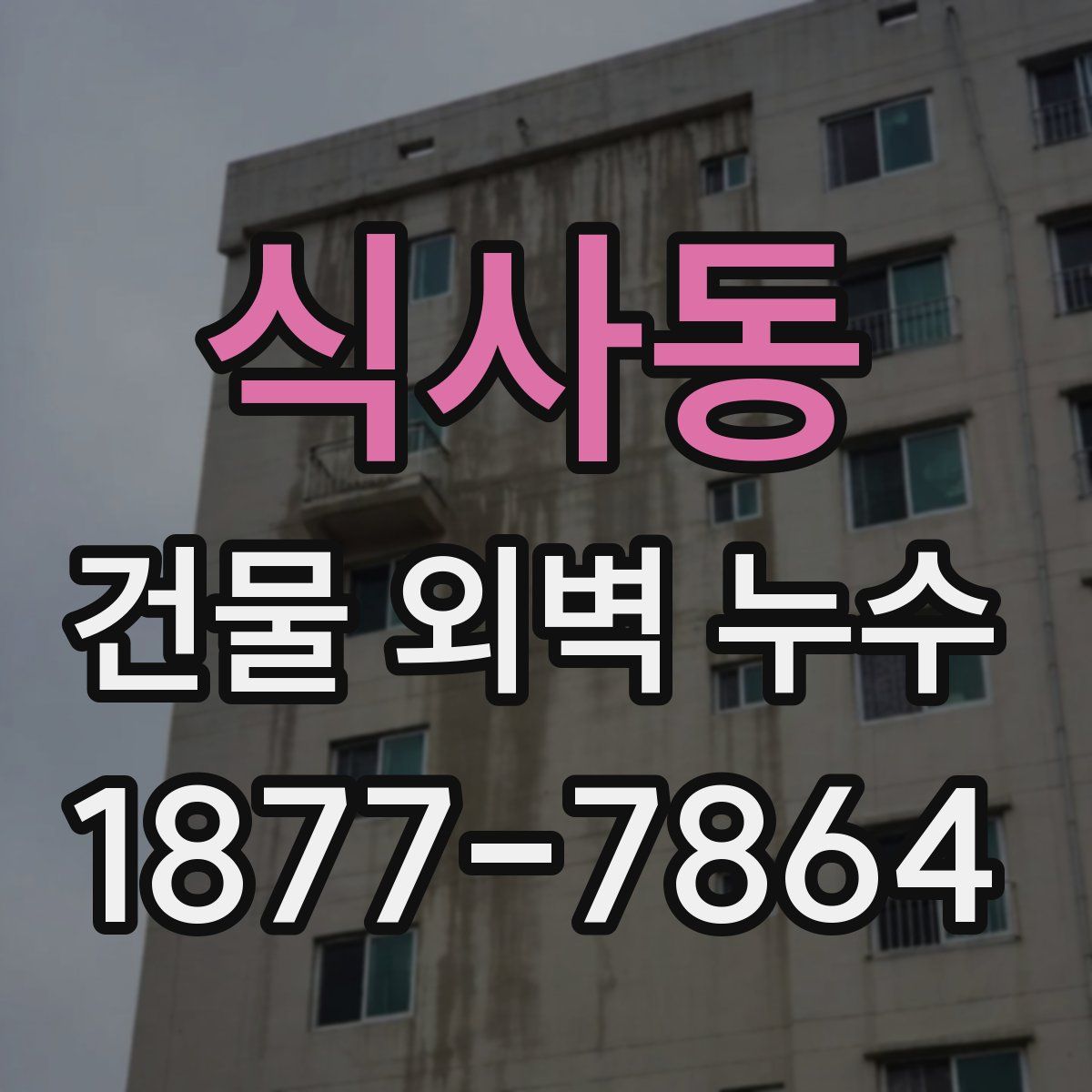 식사동 건물 외벽 누수
