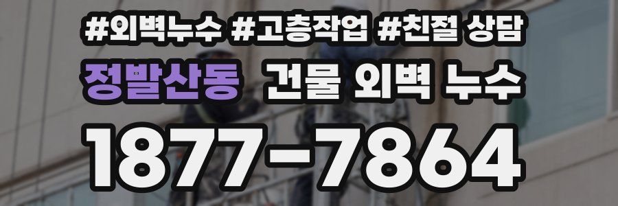 정발산동 건물 외벽 누수