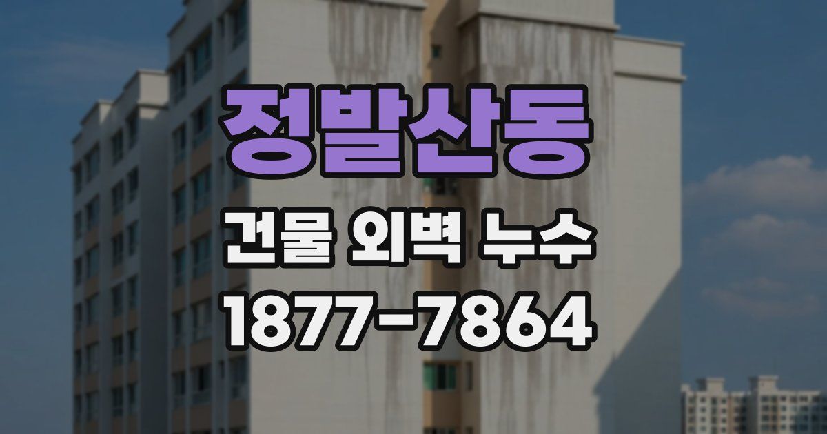 정발산동 건물 외벽 누수