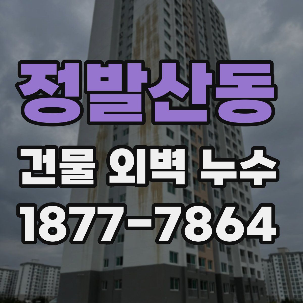 정발산동 건물 외벽 누수