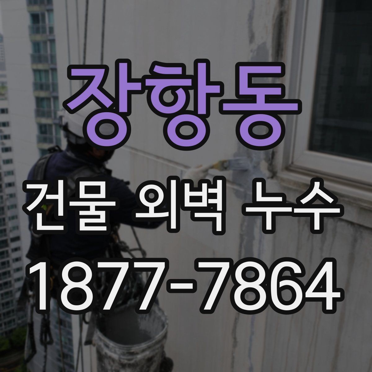장항동 건물 외벽 누수 발생 후 응급 대응 방법