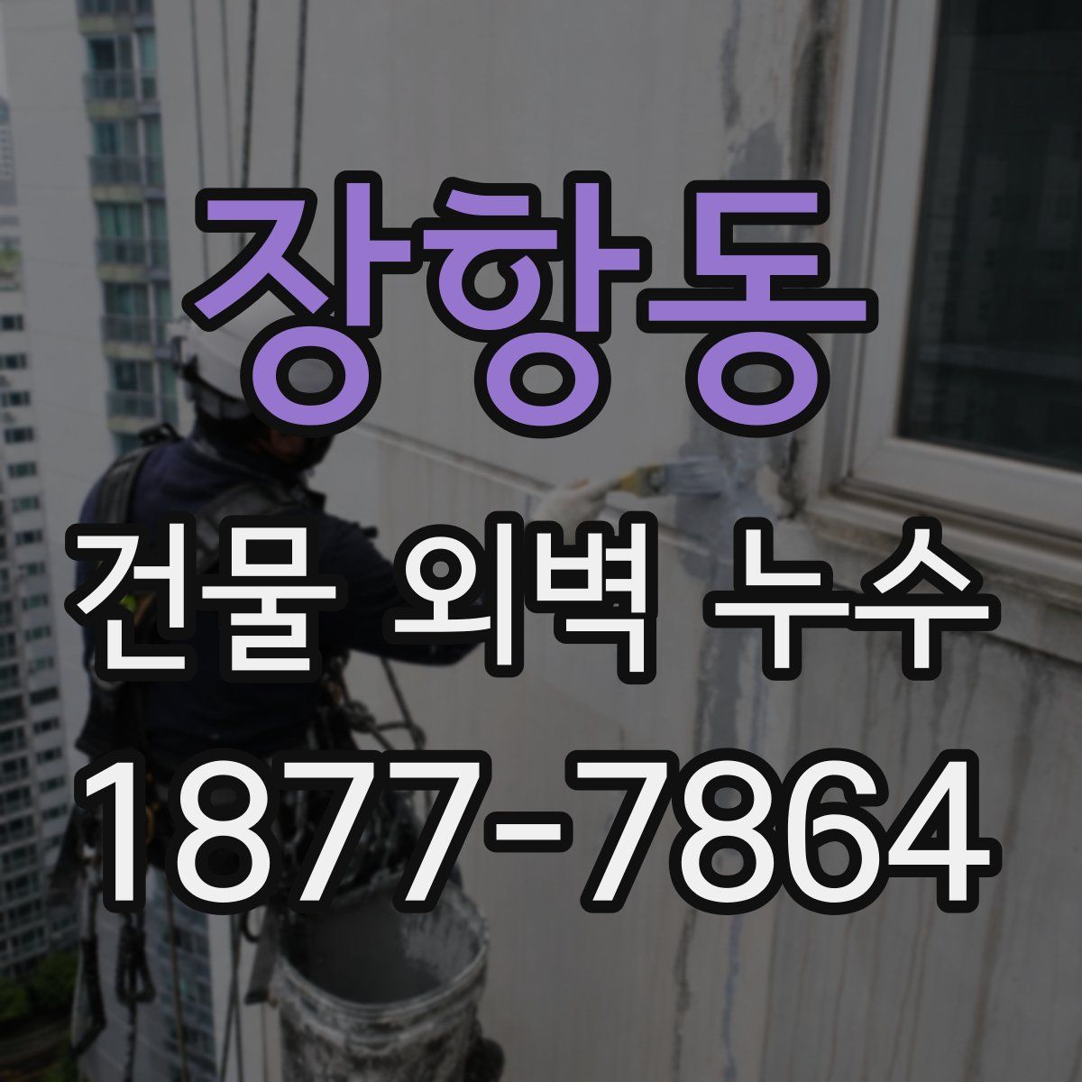 장항동 건물 외벽 누수