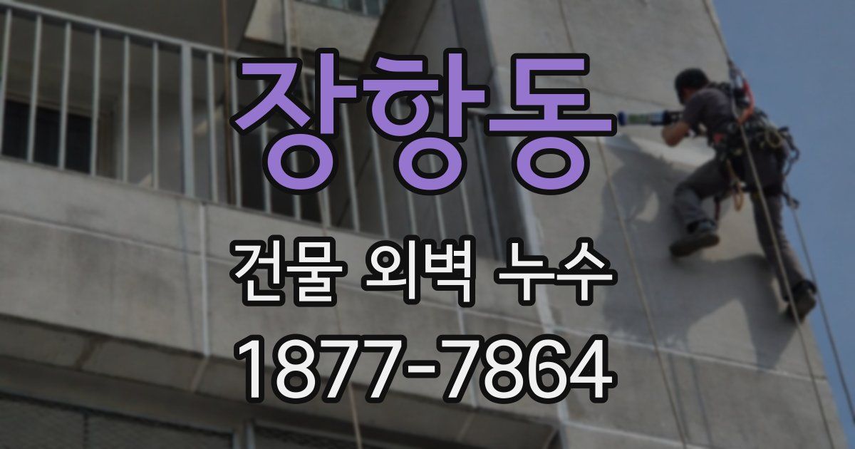 장항동 건물 외벽 누수