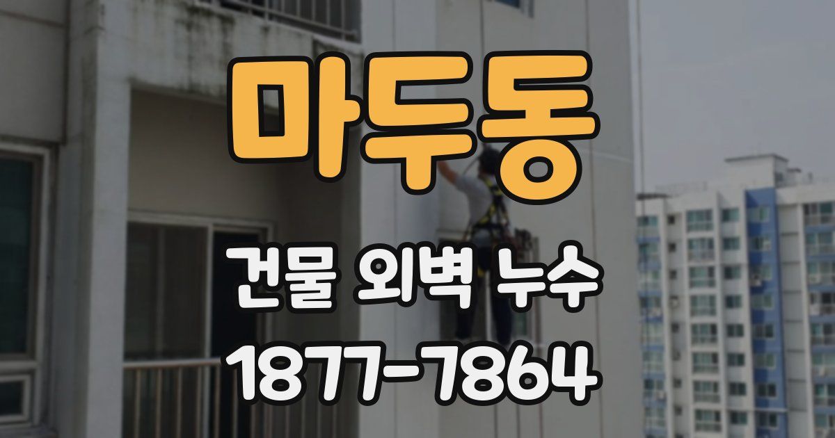 마두동 건물 외벽 누수