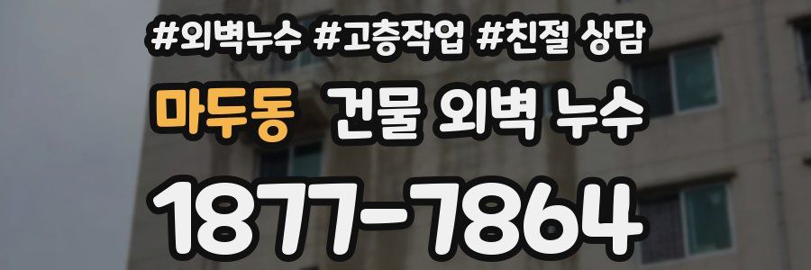 마두동 건물 외벽 누수