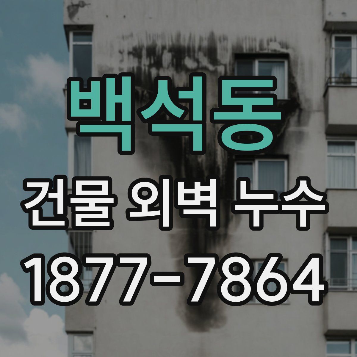 백석동 건물 외벽 누수