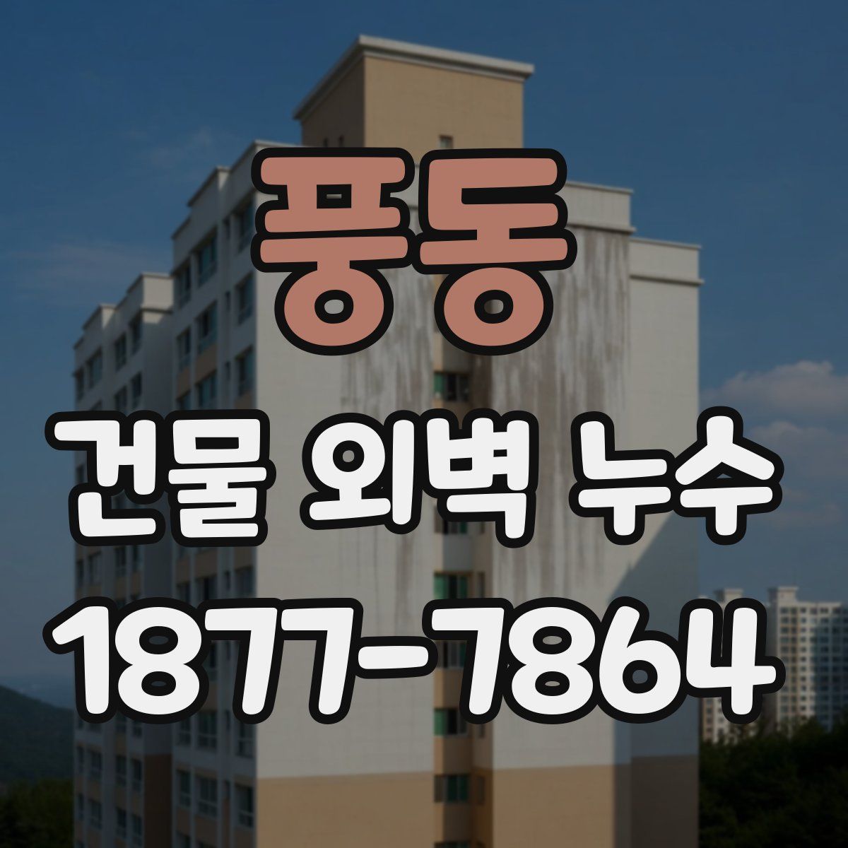 풍동 건물 외벽 누수