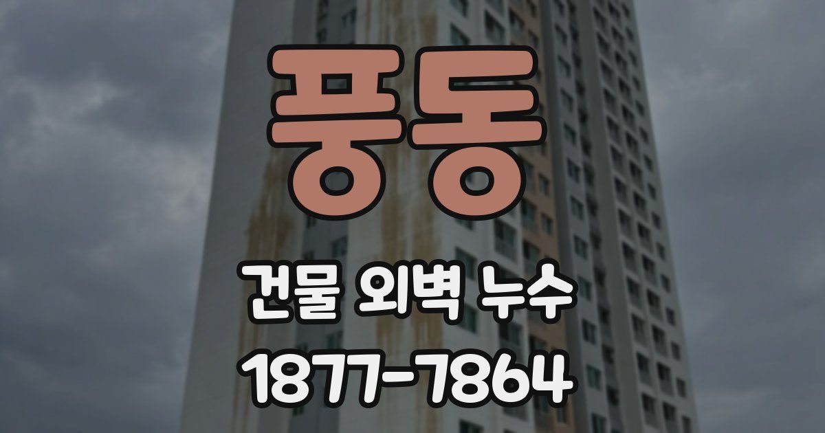 풍동 건물 외벽 누수