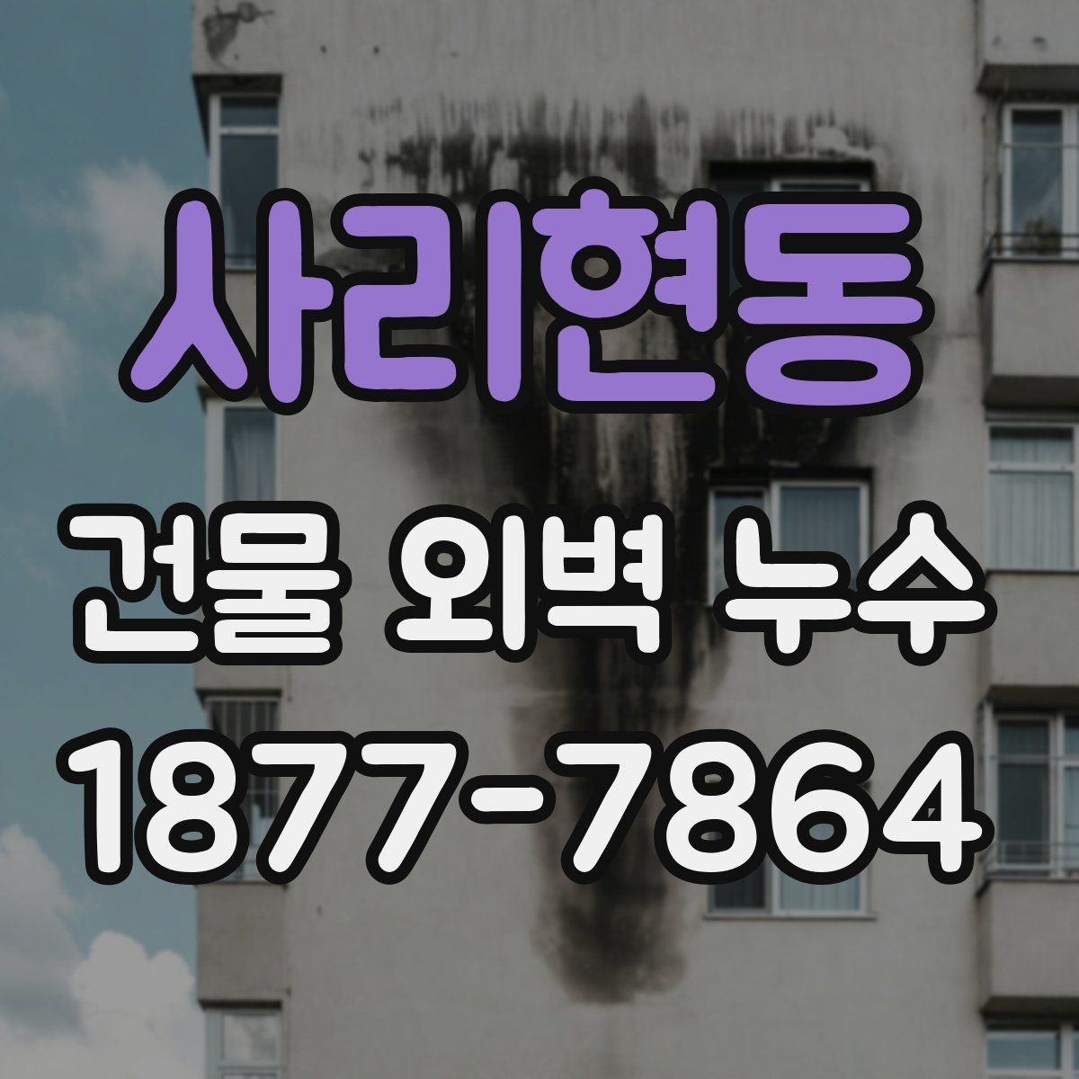 사리현동 건물 외벽 누수 발생 시 대응 방법