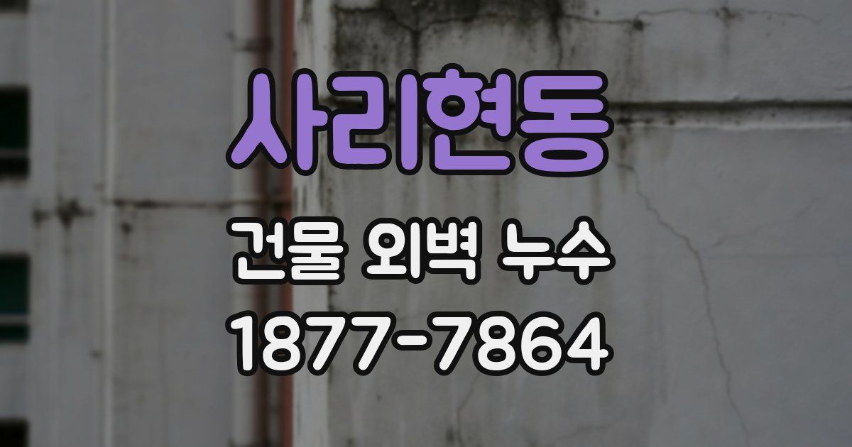 사리현동 건물 외벽 누수