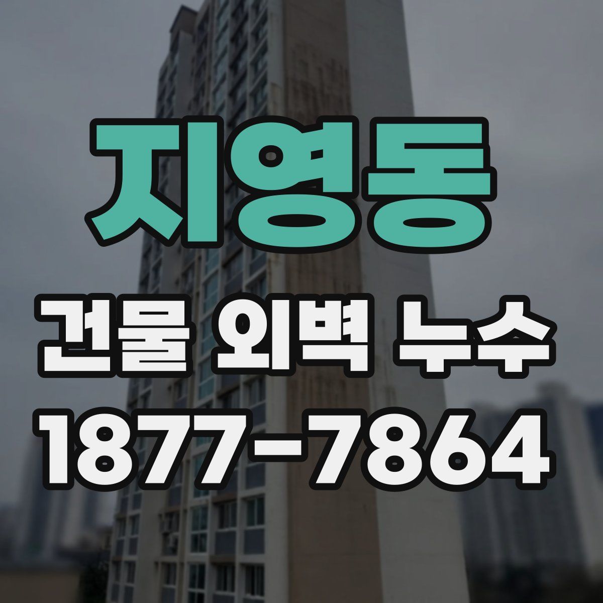 지영동 건물 외벽 누수