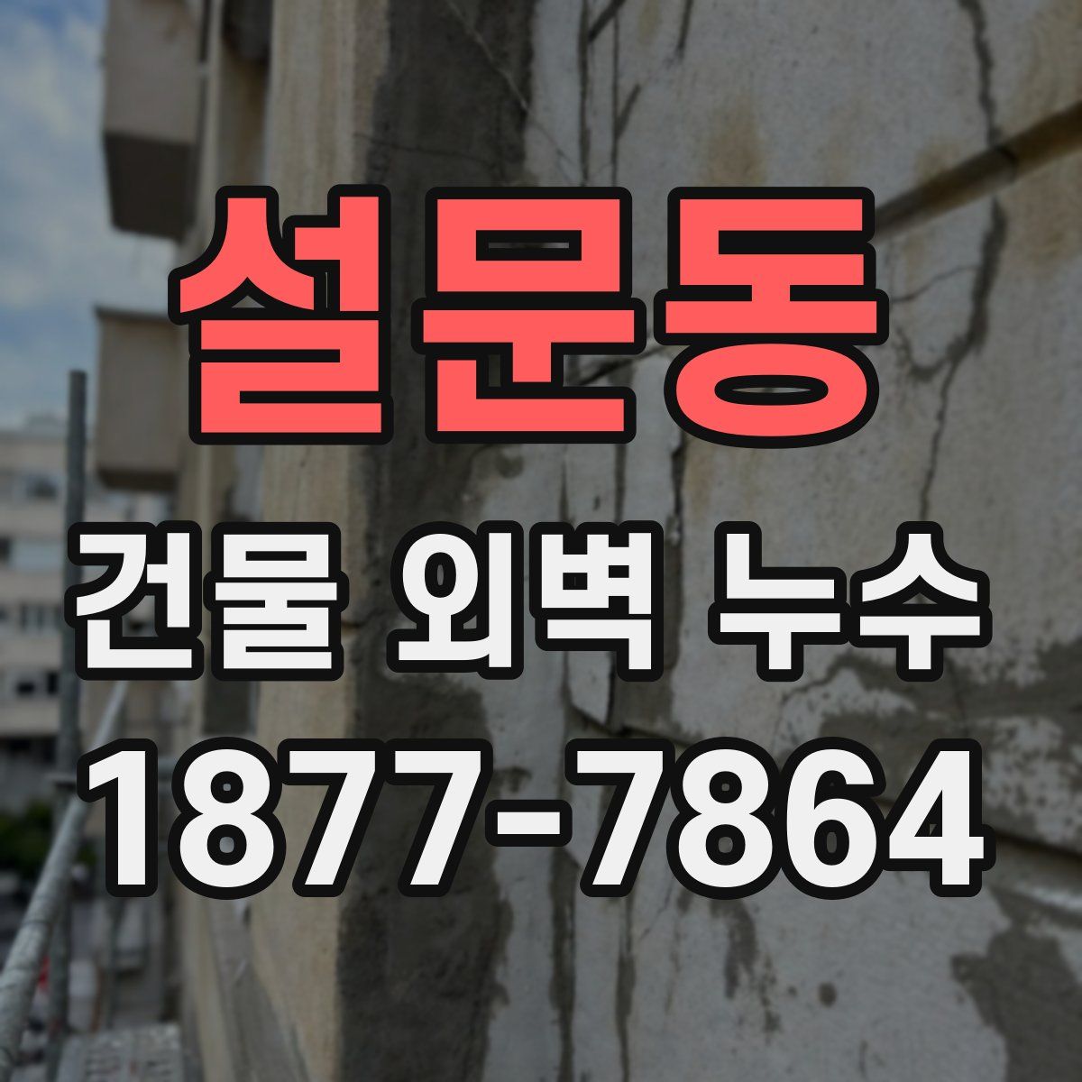 설문동 건물 외벽 누수