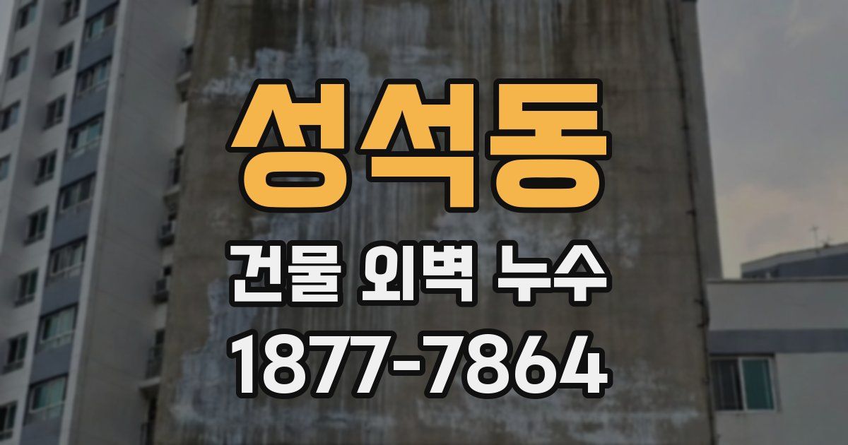 성석동 건물 외벽 누수