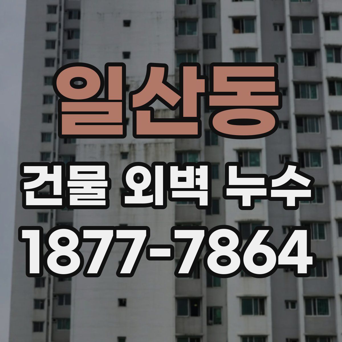 일산동 건물 외벽 누수
